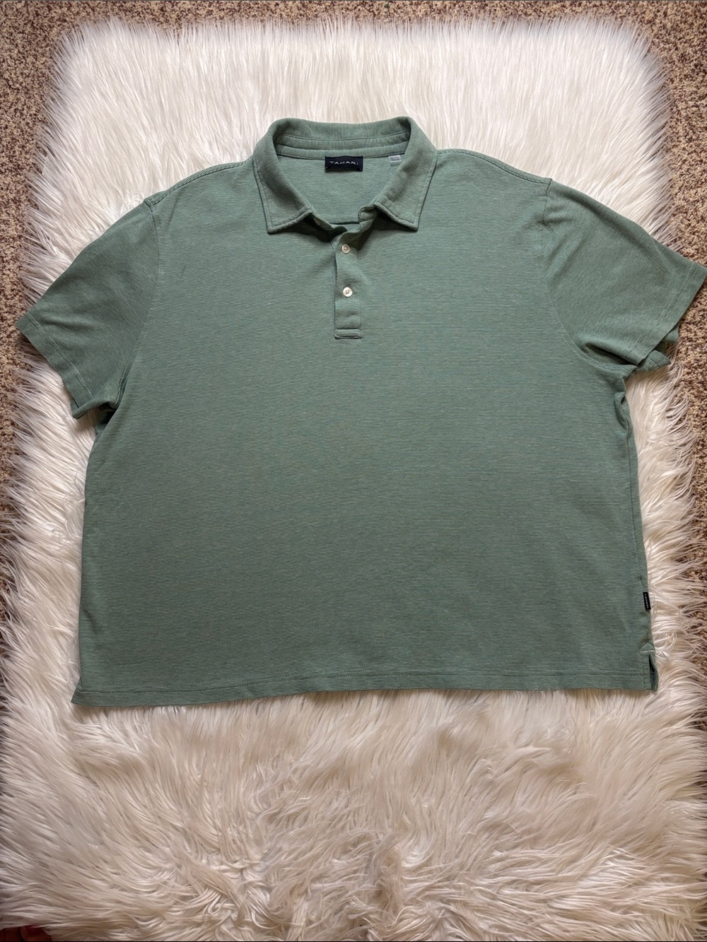 Tahari Men's Polo in Sage Green, Micro Striped, XXL